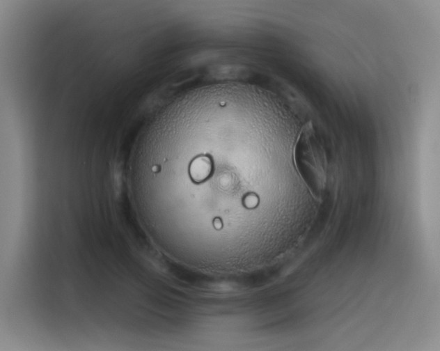 X0000116110741200911231145