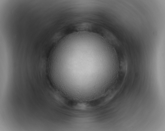 X0000116110753200911231145