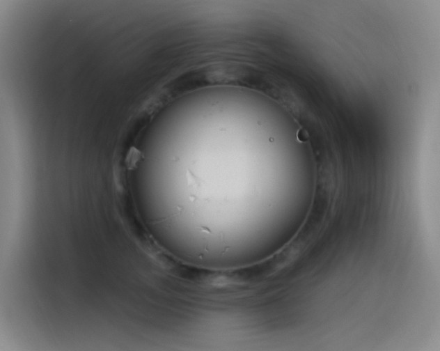 X0000116110755200911231145