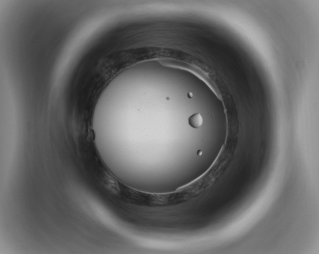 X0000116110766200911231145