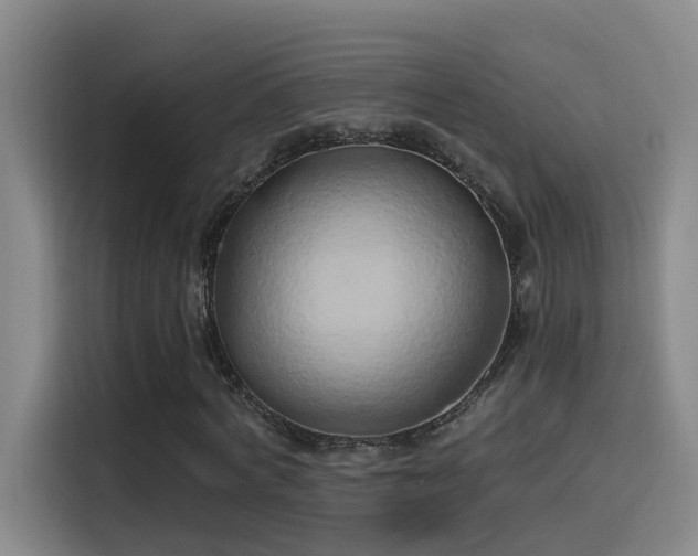 X0000116110772200911231145