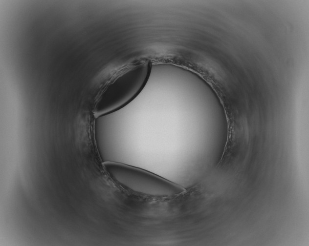 X0000116110773200911231145