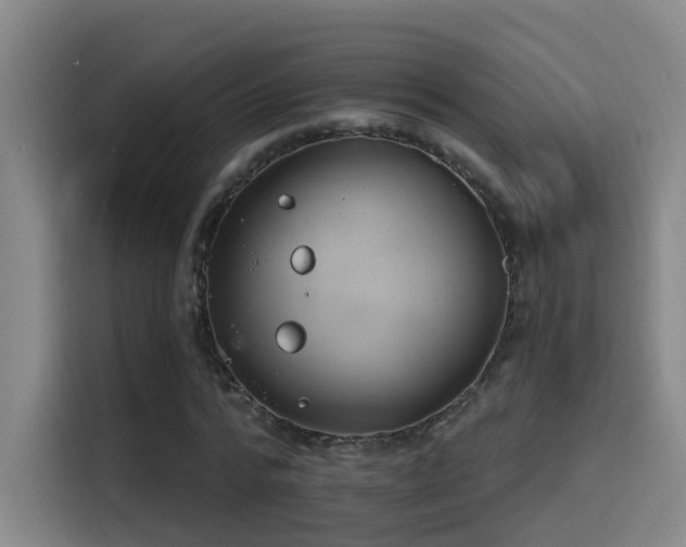 X0000116110776200911231145