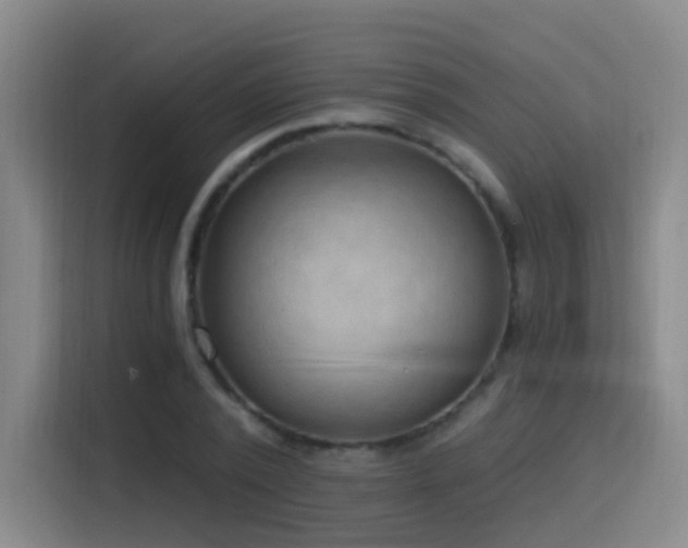 X0000116110784200911231144