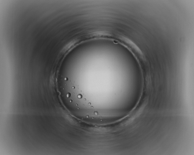 X0000116110785200911231144