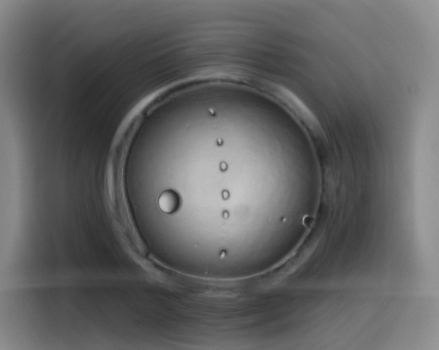 X0000116110788200911231144