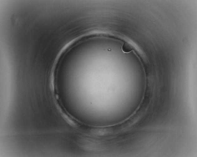 X0000116110791200911231144