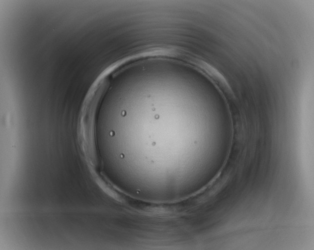 X0000116110792200911231144