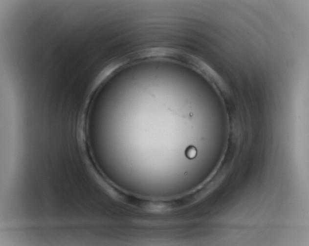 X0000116110794200911231144