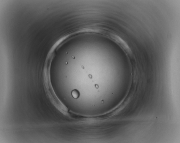 X0000116110796200911231144