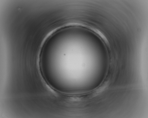 X0000116110799200911231144