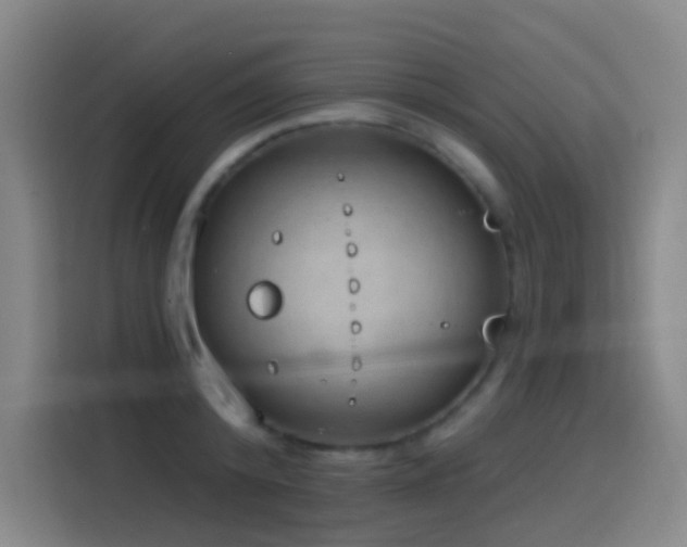 X0000116110800200911231144