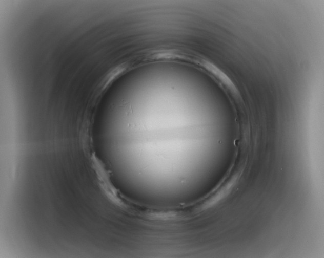 X0000116110801200911231144