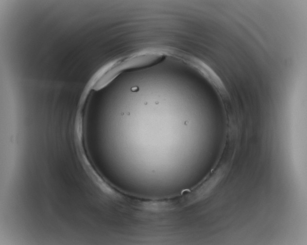 X0000116110804200911231144