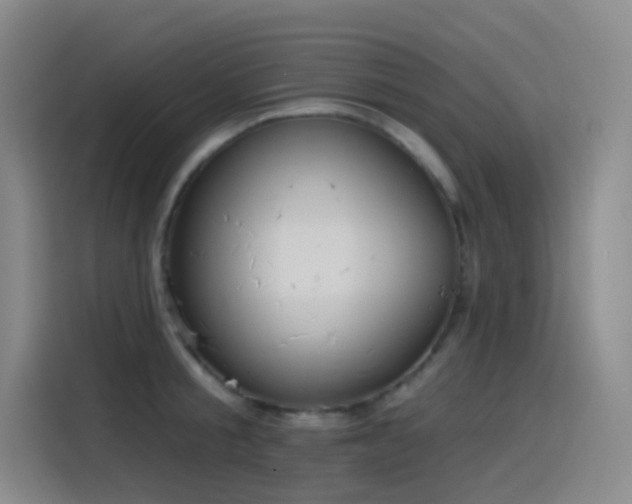 X0000116110805200911231144