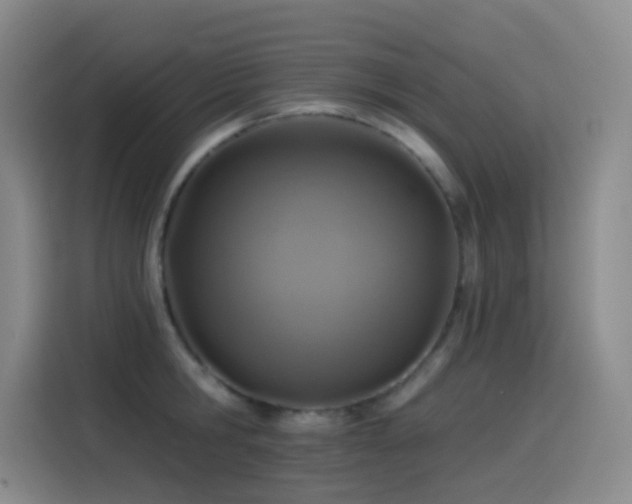 X0000116110806200911231144