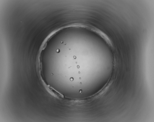 X0000116110808200911231144