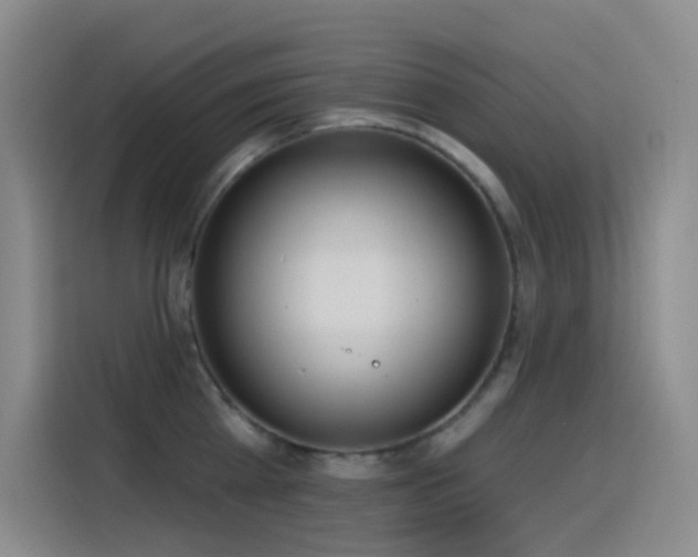 X0000116110809200911231144