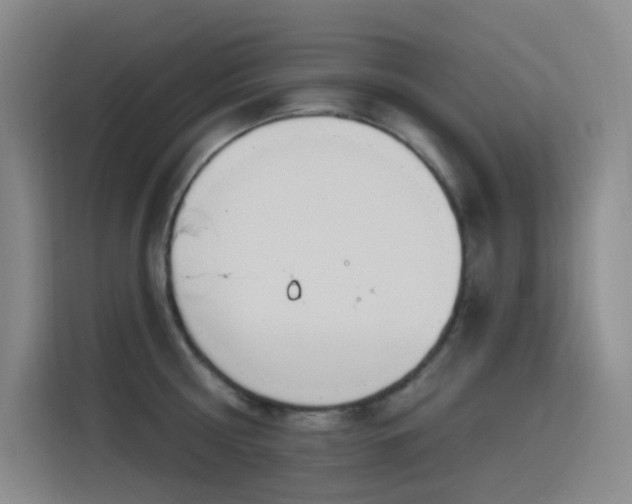 X0000116110810200911231144