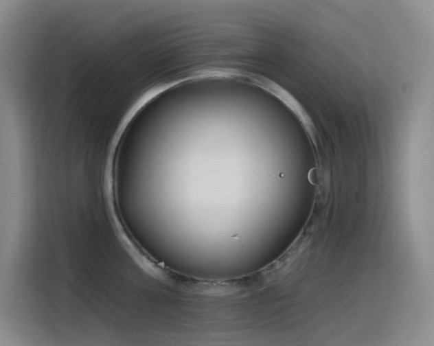 X0000116110811200911231144