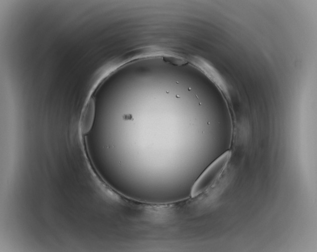 X0000116110813200911231144