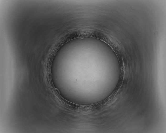 X0000116110817200911231143