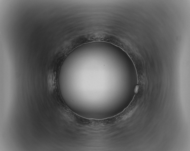 X0000116110818200911231143