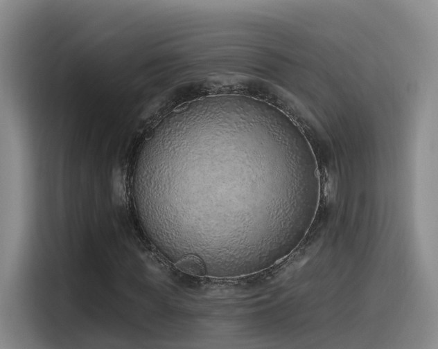 X0000116110819200911231143