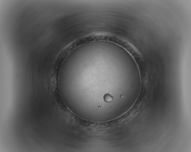 X0000116110821200911231144