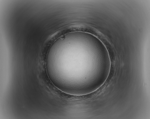 X0000116110822200911231144