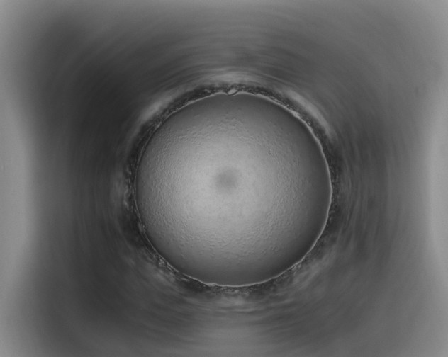 X0000116110823200911231144