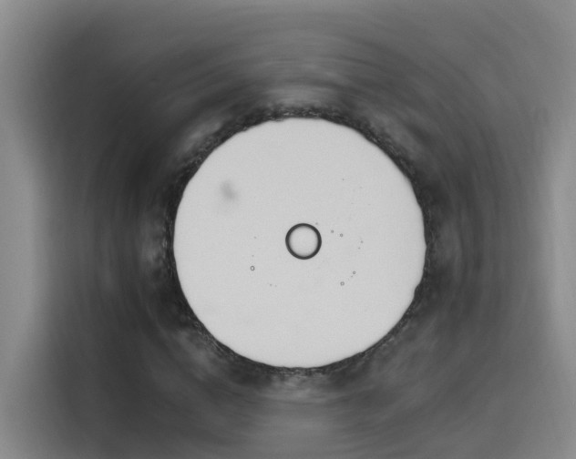 X0000116110824200911231144