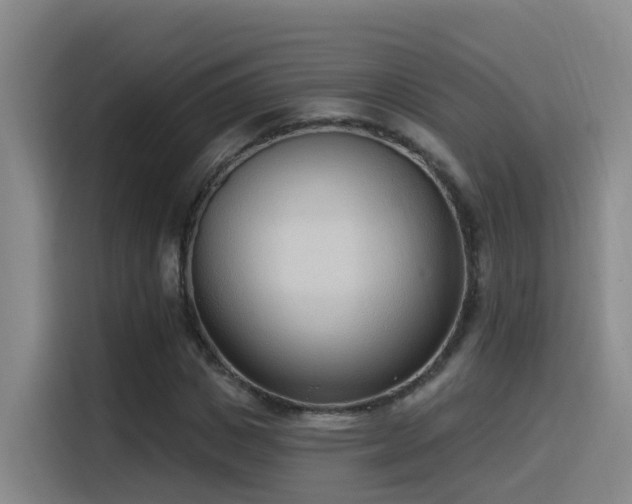 X0000116110825200911231144