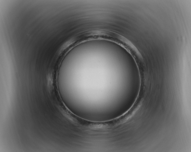 X0000116110826200911231144