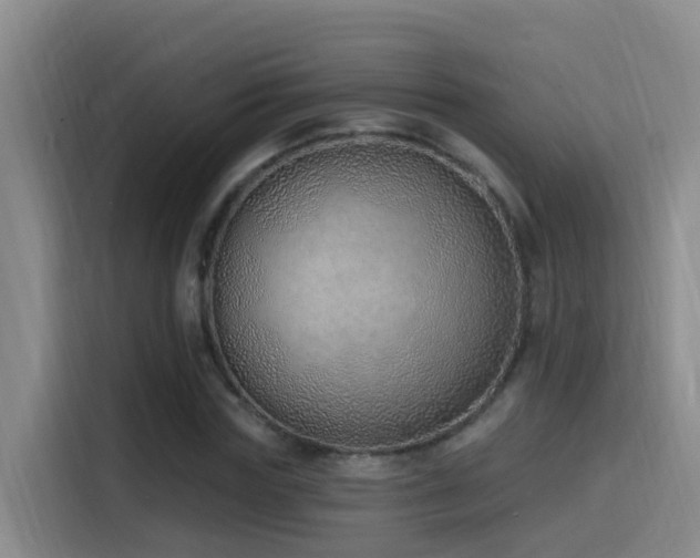 X0000116110827200911231144