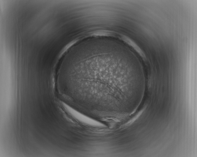 X0000116110829200911231144