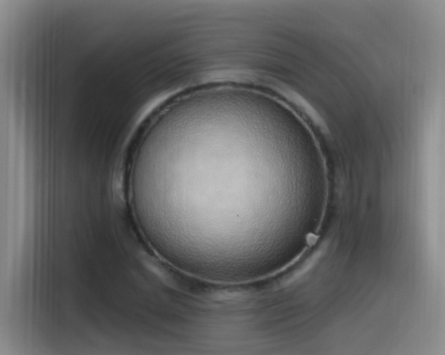 X0000116110830200911231144