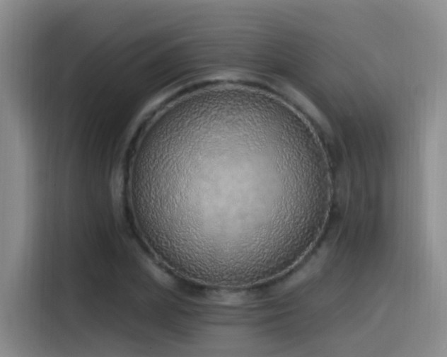 X0000116110831200911231144