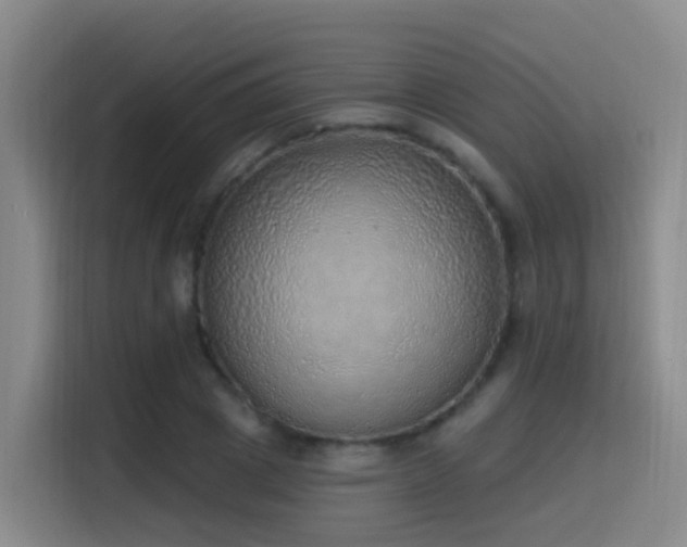 X0000116110833200911231144