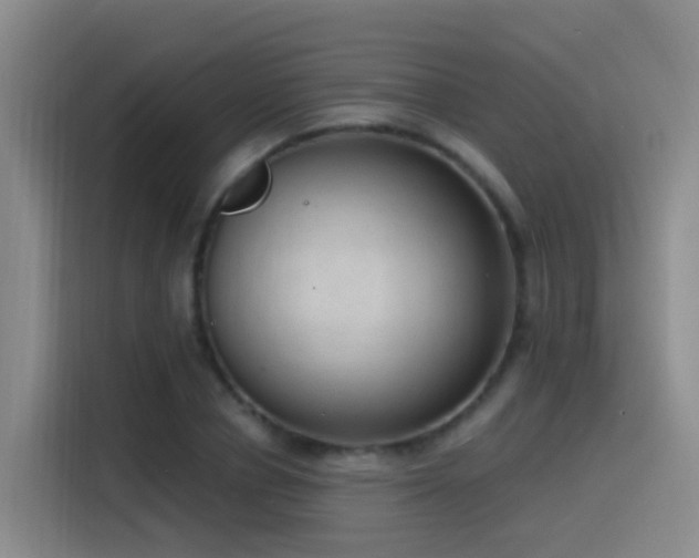 X0000116110834200911231144