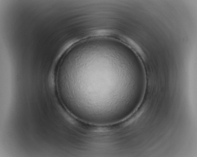 X0000116110835200911231144