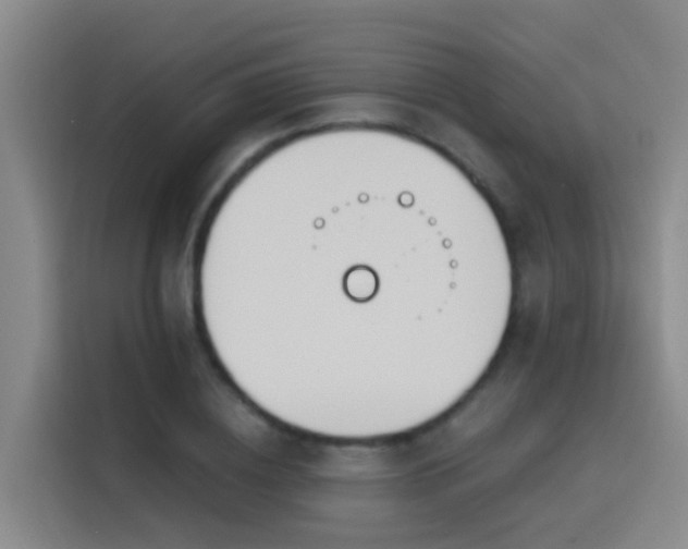 X0000116110836200911231144