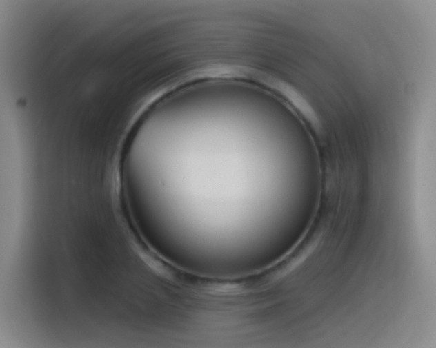 X0000116110837200911231144