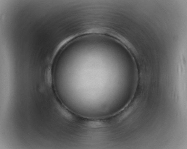 X0000116110838200911231144