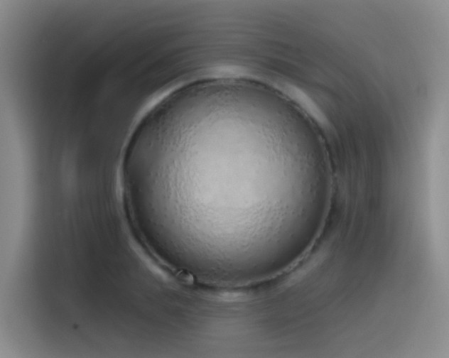 X0000116110839200911231144