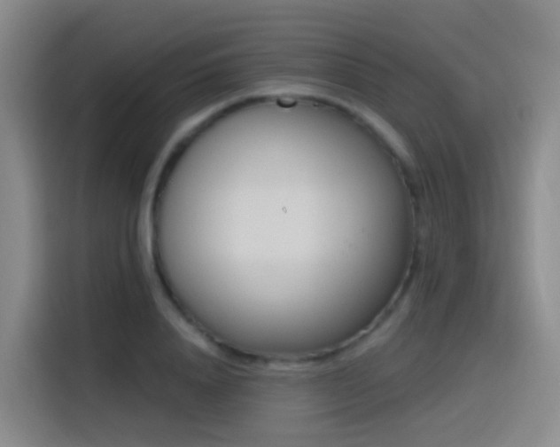 X0000116110840200911231144