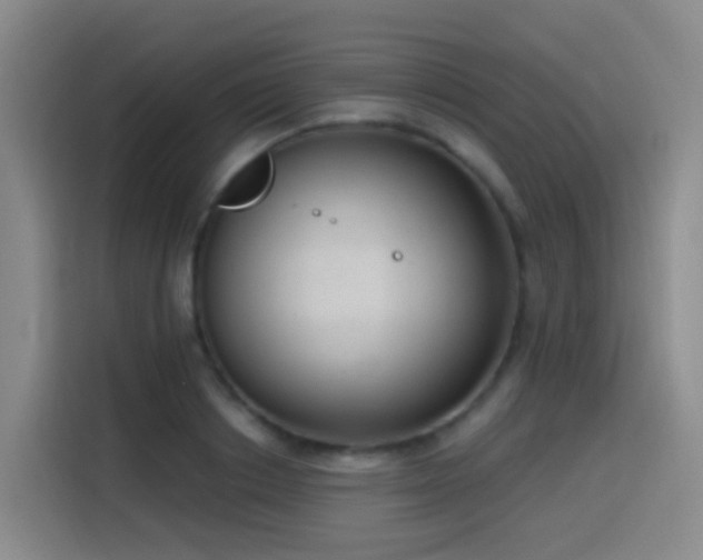 X0000116110842200911231144