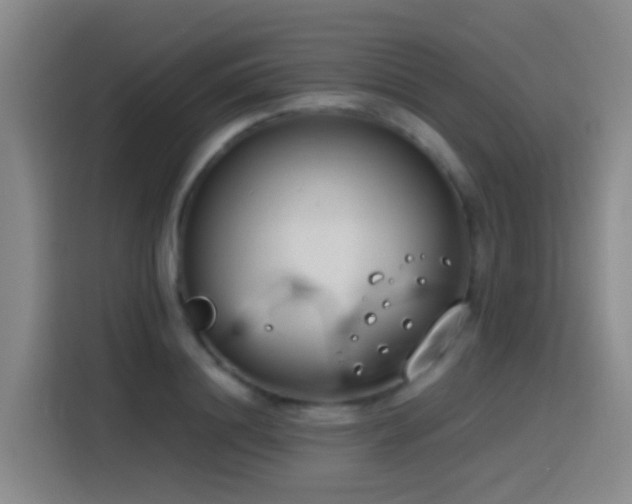 X0000116110844200911231144