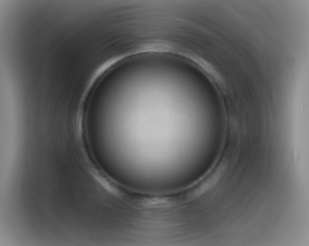 X0000116110846200911231144