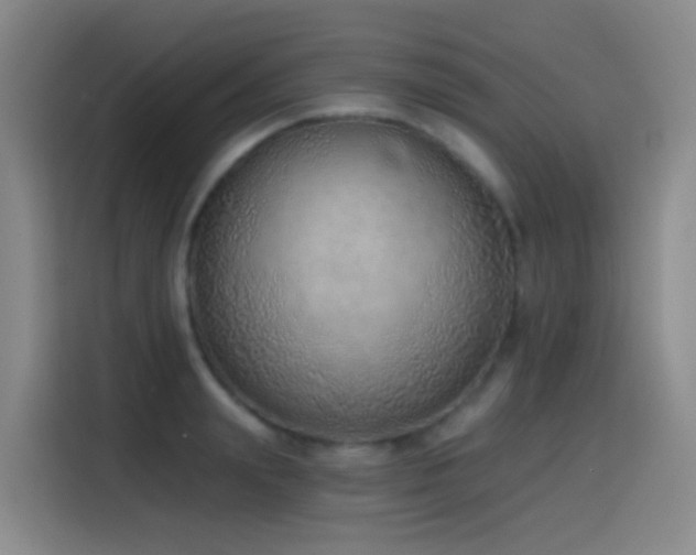 X0000116110847200911231144